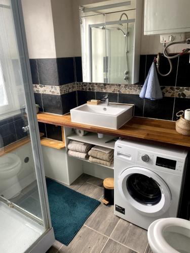 une salle de bain avec une machine à laver et un lavabo dans l'établissement Cozy 2-Room Flat at Boucicaut, à Paris