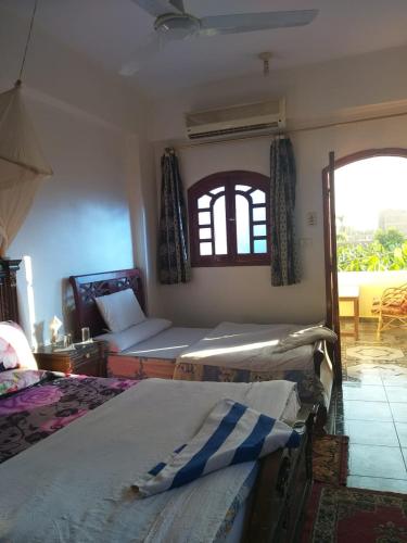 a bedroom with two beds and a window at One Love Guesthouse & Restaurant in Luxor