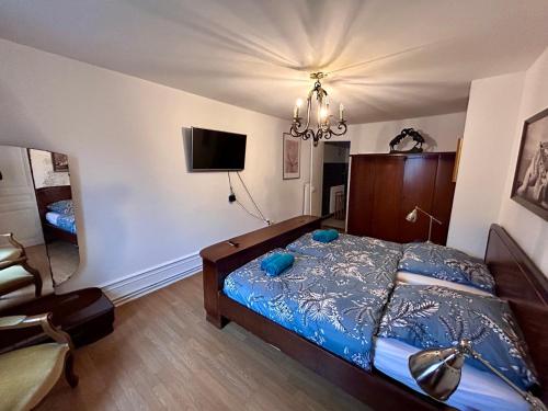 Superbe appartement en plein centre ville