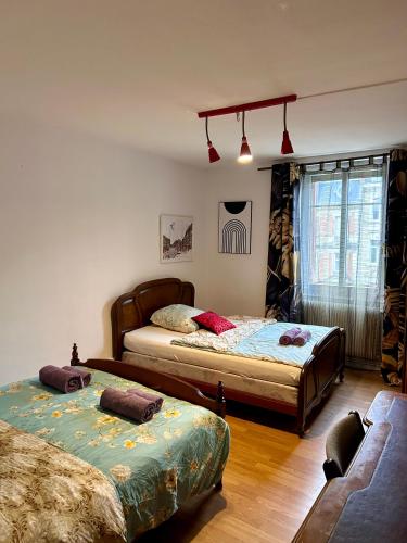 une chambre avec deux lits et un canapé dans l'établissement Superbe appartement en plein centre ville, à Strasbourg