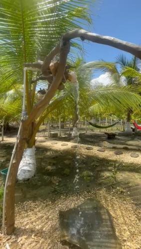 a person sitting on top of a palm tree at Habitación 4 personas in Moñitos