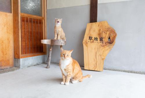 Haiwan peliharaan atau haiwan-haiwan peliharaan yang menginap dengan tetamu di 猫と図書館のある宿 草地家 Kusachike