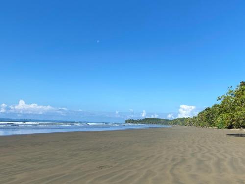 a beach with sand and trees in the distance at Cabaña Vacal Wifi, beach front #2 in Uvita