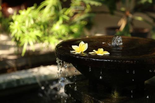 two flowers sitting on top of a water fountain at Bale Ocasa by Behomy in Tangerang