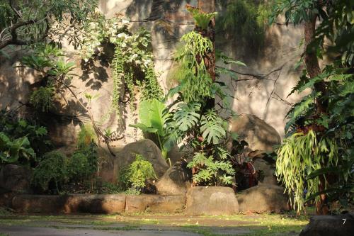 a stone wall with a bunch of plants at Bale Ocasa by Behomy in Tangerang