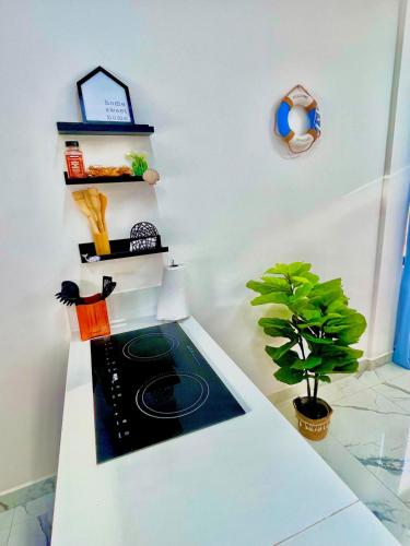 a kitchen with a stove and a plant on a counter at Casa de Playa en Antón Lizardo con alberca privada y club Playa in Heroica Alvarado