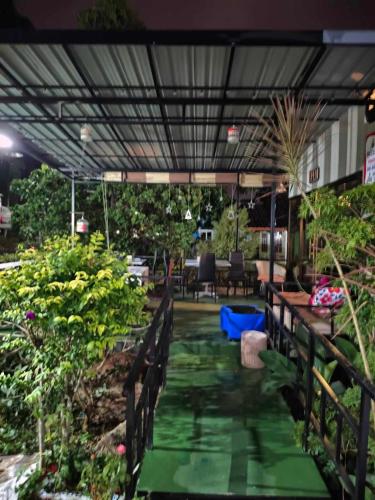 Κήπος έξω από το Mountain View Guest House