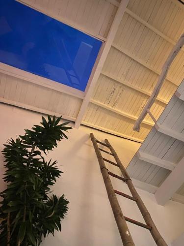 a wooden ladder in a room with a plant at Casa Cielo in Concepción