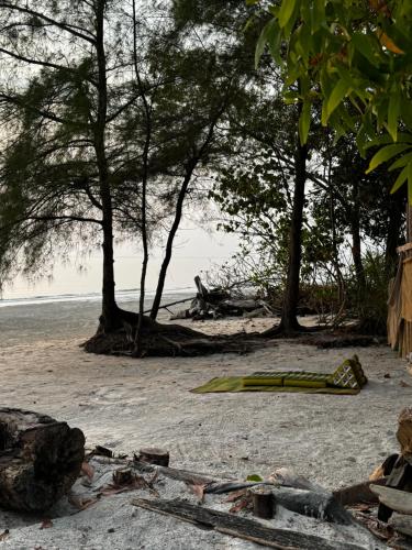 Paysage naturel près de le lodge