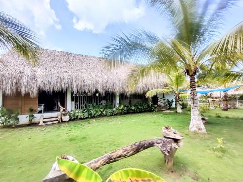 a resort with a palm tree and a building at la casablanca moñitos in Moñitos