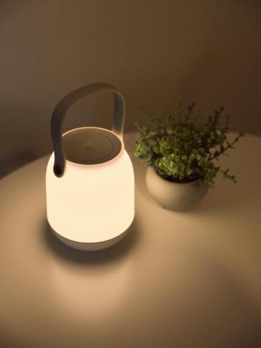 a white tea kettle sitting next to a plant at vetta kumamoto sakuramachi 603 in Kumamoto