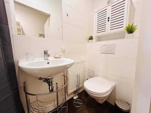 Small & fine apartment near AKH
