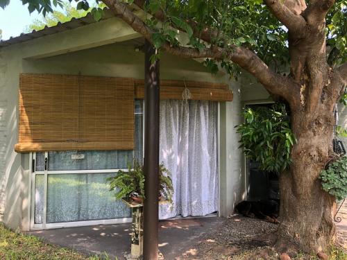a house with a window with a cat sitting next to it at Monoambiente 4 blocks away from the beach! in Paysandú