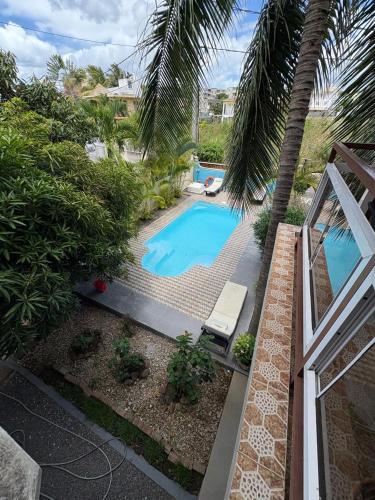 a swimming pool in a yard with a palm tree at Lariad BNB in Rivière Noire