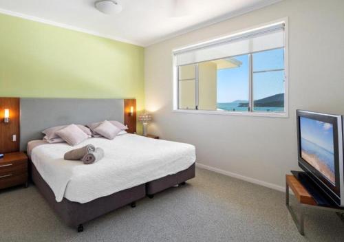 Un dormitorio con una cama grande y un televisor. en 52 Airlie Beach Beauty at The Summit, en Airlie Beach