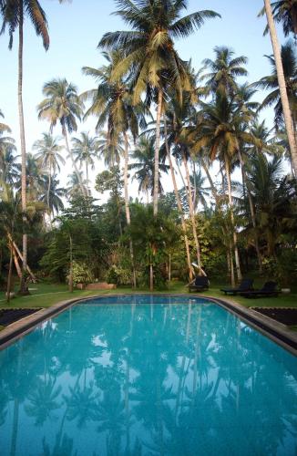 a swimming pool in front of palm trees at Hotel Riverrina in Negombo