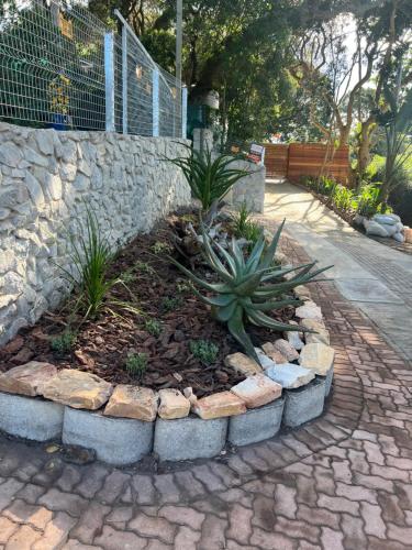 a garden with a plant in a stone wall at Loerie's Perch - On Knysna Lagoon in Knysna