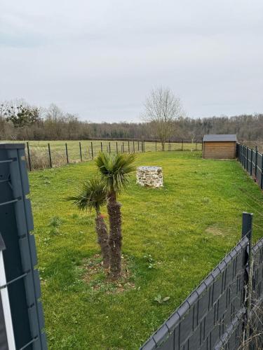 a palm tree in a field next to a fence at Maison de charme proche Disney 20 min in Guérard