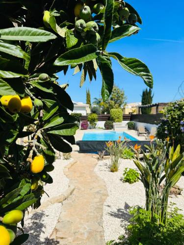a lemon tree with a pool in a yard at Villa strelitzia in Lachi