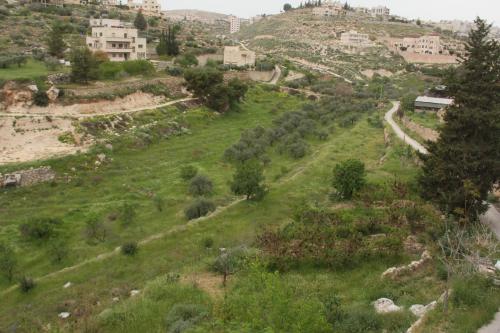 a green hillside with a train on it at Hosh Al Subbar in Bethlehem