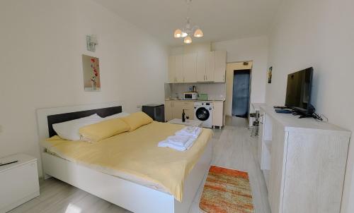 Kuchyň nebo kuchyňský kout v ubytování Cozy Studio Apartments