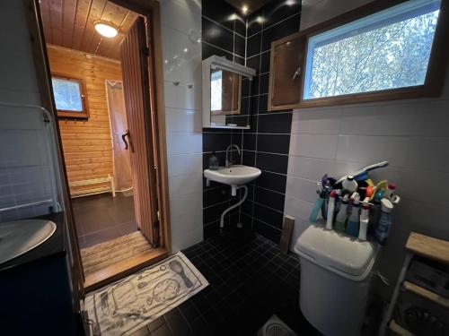 ハメーンリンナにあるWinter Wonderland Cabin in Hmeenlinna, Finlandのトイレと洗面台のある小さなバスルーム