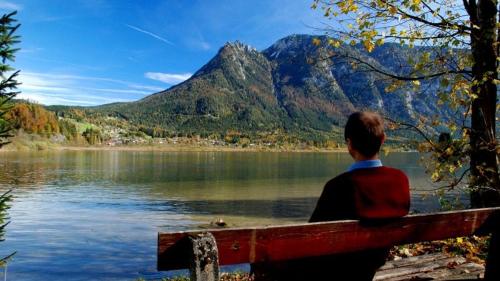 a person sitting on a bench overlooking a lake at Bergträumerei in Bad Goisern