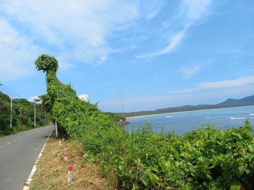 a statue of a woman on the side of a road at Garden House Côn Đảo in Con Dao