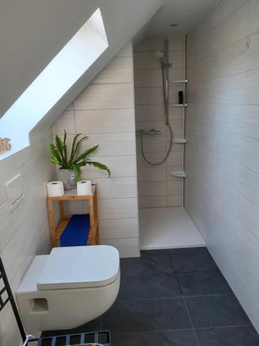 a bathroom with a toilet and a shower at Ferienwohnung Auszeit in Aue