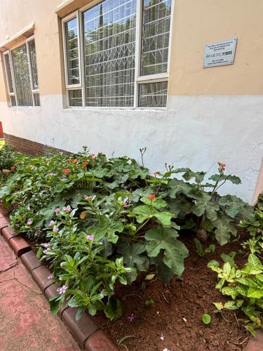 Jardín al aire libre en Frere Hill Guesthouse