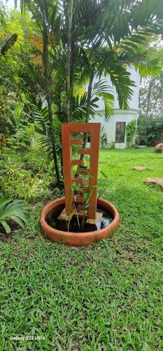 Κήπος έξω από το La Fontaine de Tara