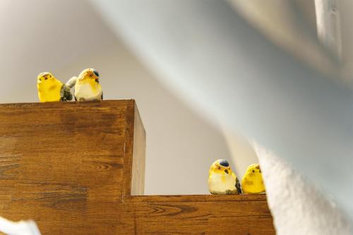 a group of yellow birds sitting on top of a mirror at Huangshan Shanshuijian Wei Boutique Hotel in Huangshan