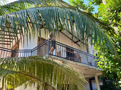 una persona su un balcone di una casa con una palma di Thisara Villa Weligama a Weligama