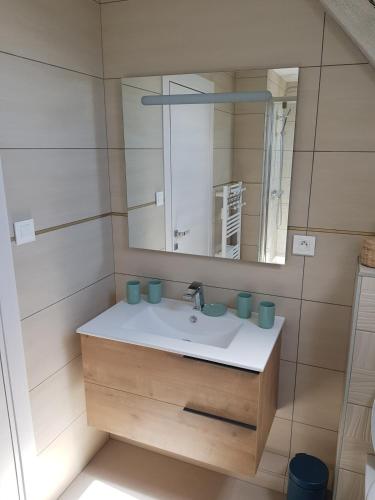 une salle de bain avec un lavabo et un miroir dans l'établissement Gite Au Nid de Cigognes, à Mittelwihr