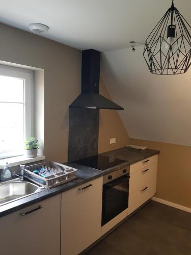 une cuisine avec un évier et une cuisinière four supérieur dans l'établissement Gite Au Nid de Cigognes, à Mittelwihr