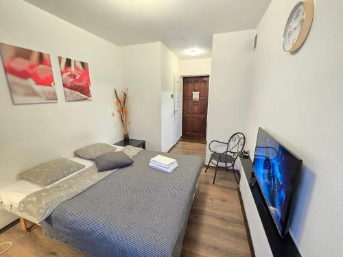 TV a/nebo společenská místnost v ubytování S4 Studio Apartment