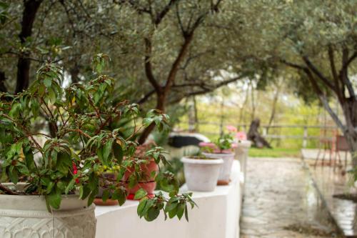 Φωτογραφία από το άλμπουμ του Oasis Hotel σε Orikum