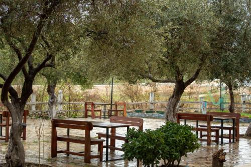 Φωτογραφία από το άλμπουμ του Oasis Hotel σε Orikum