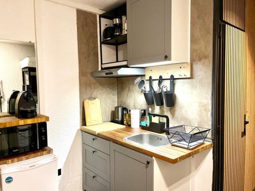 une cuisine avec un évier et un comptoir dans l'établissement Chamonix Sud studio with Mont Blanc views, à Chamonix-Mont-Blanc