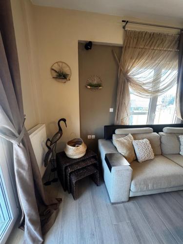 a living room with a couch and a window at DiamondSunsetApartments in Perea