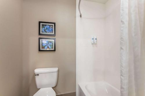 a bathroom with a toilet and a shower with two pictures at Comfort Inn & Suites Conway in Conway