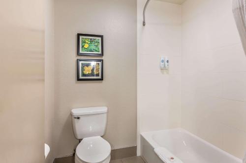 a white bathroom with a toilet and a bath tub at Comfort Inn & Suites Conway in Conway