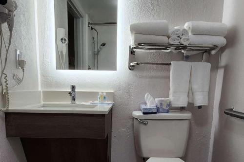 ペンサコーラにあるComfort Inn Pensacola - University Areaの洗面台、トイレ、鏡のあるバスルーム