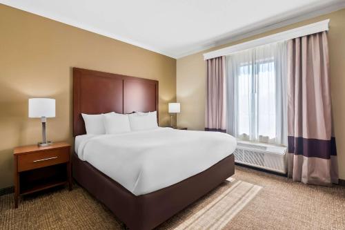 a bedroom with a large bed and a large window at Comfort Suites Panama City near Tyndall AFB in Panama City
