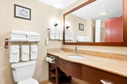 a bathroom with a sink and a mirror at Comfort Suites Panama City near Tyndall AFB in Panama City