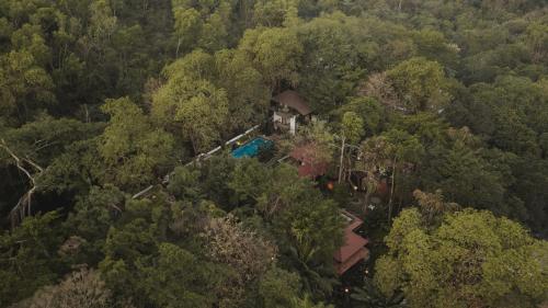 an aerial view of a house in the middle of a forest at Brij Paraiso Saligao, Goa - An Indo-Portuguese Villa in Calangute