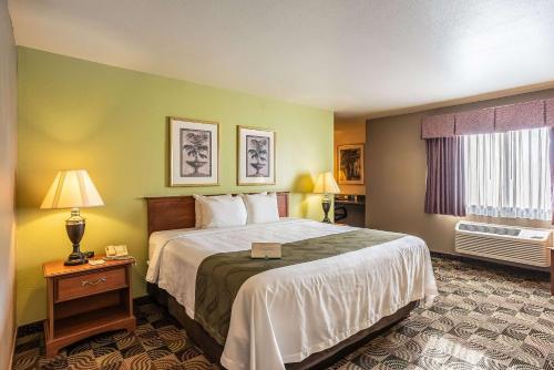 a hotel room with a bed and a window at Quality Inn & Suites Hannibal West in Hannibal