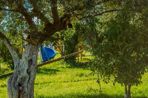 Φωτογραφία από το άλμπουμ του Oasis Hotel σε Orikum