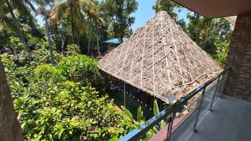 Un jardín fuera de Sky's Surf Hostel
