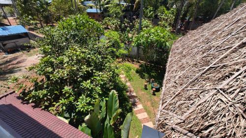 Un jardín fuera de Sky's Surf Hostel
